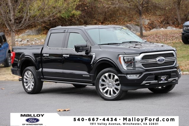 2021 Ford F-150 Limited's photo