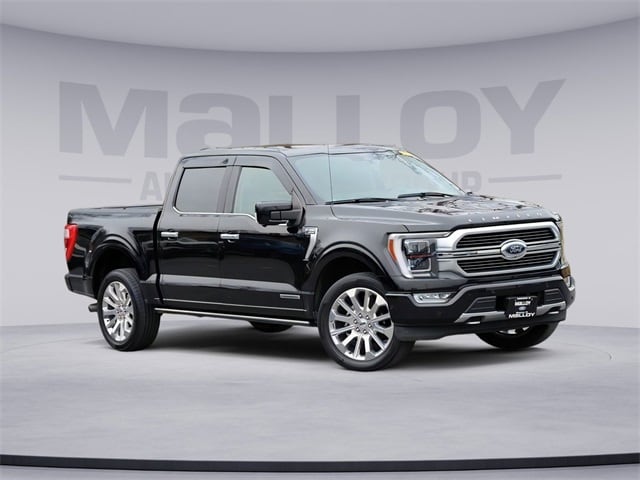 2021 Ford F-150 Limited's photo