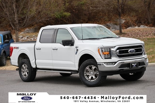 2022 Ford F-150 XLT's photo