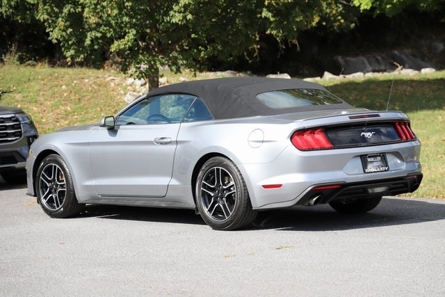 2023 Ford Mustang EcoBoost Premium Convertible photo 2