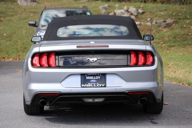 2023 Ford Mustang EcoBoost Premium Convertible photo 3
