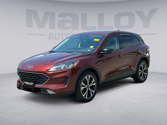 2021 Ford Escape SE AWD's photo