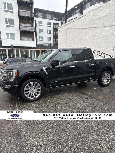 2021 Ford F-150 Limited's photo