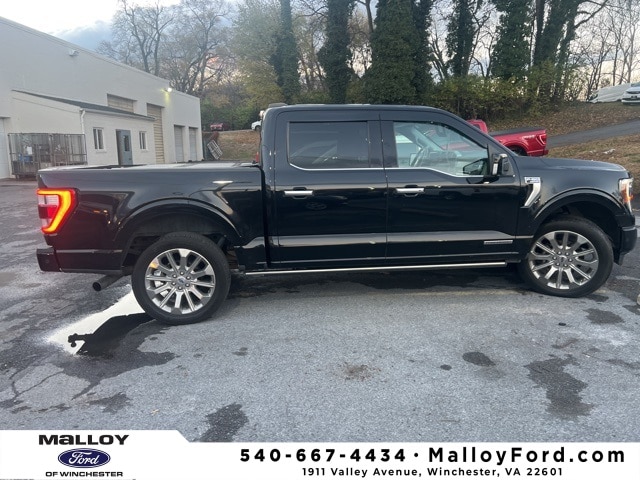 2021 Ford F-150 Limited's photo