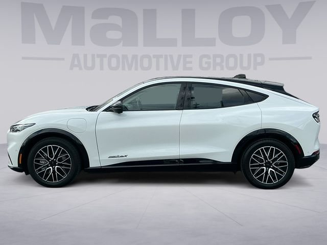 Certified 2024 Ford Mustang Mach-E Premium AWD with VIN 3FMTK3SU7RMA30420 for sale in Winchester, VA