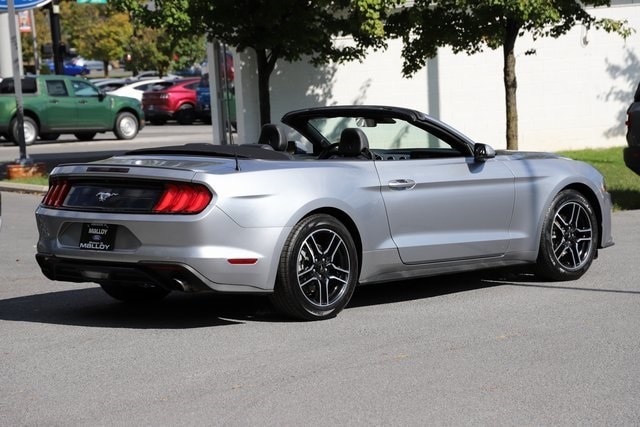 2023 Ford Mustang EcoBoost Premium Convertible photo 4