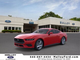 2025 Ford Mustang Ecoboost Coupe