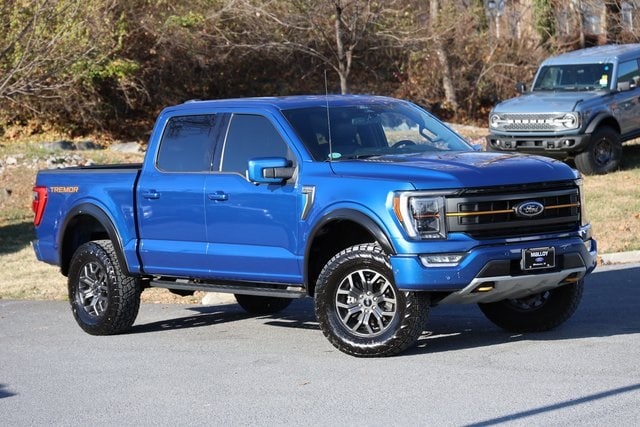 2022 Ford F-150 Tremor's photo