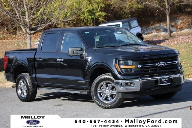 2024 Ford F-150 XLT's photo