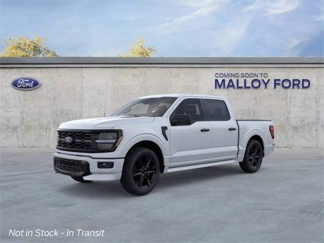 2025 Ford F-150 STX's photo