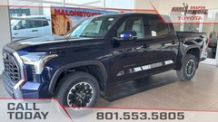 2025 Toyota Tundra SR5 Truck CrewMax