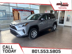 2025 Toyota RAV4 LE SUV