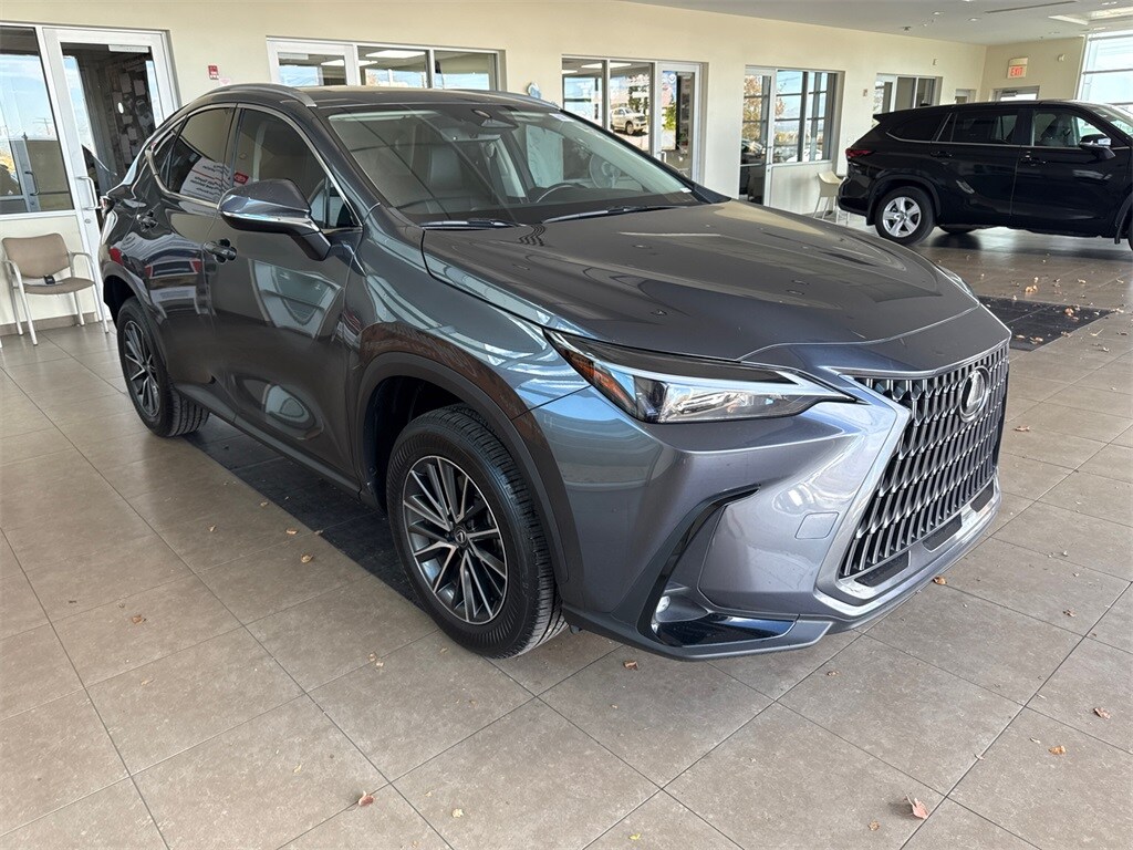 2024 Lexus NX 350h photo 3