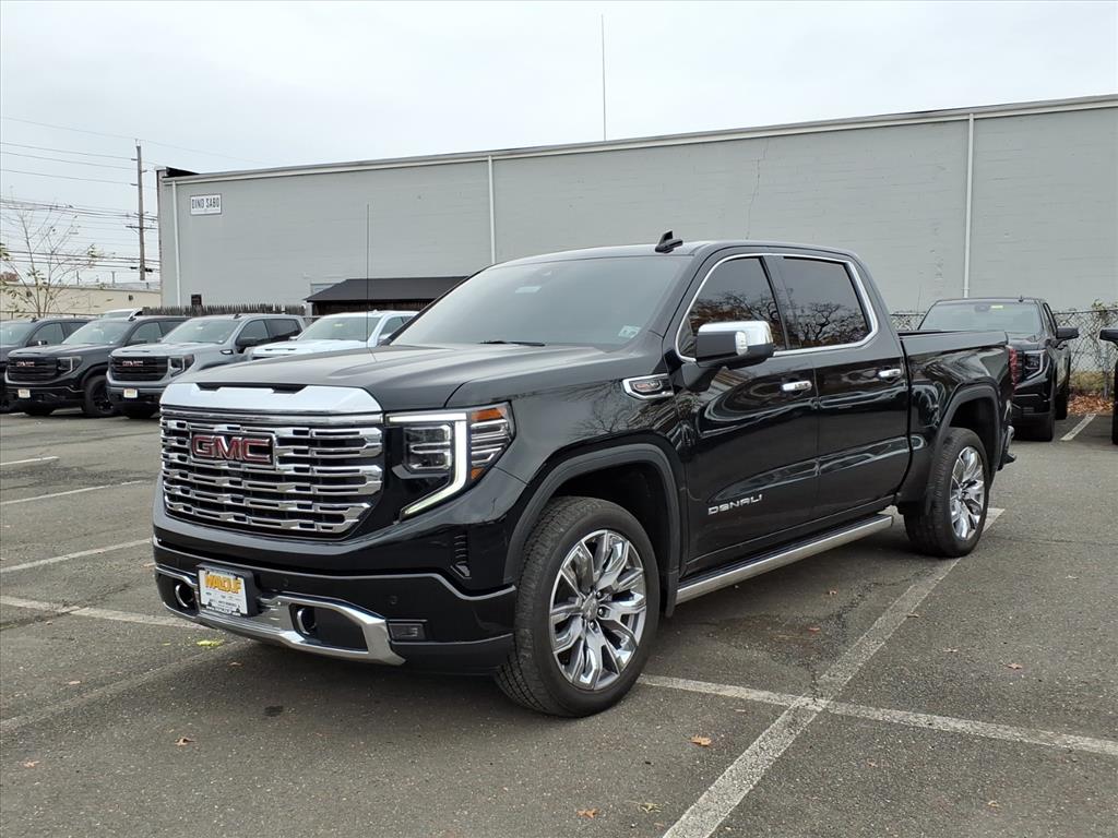 2024 Gmc Sierra 1500 Denali photo 3