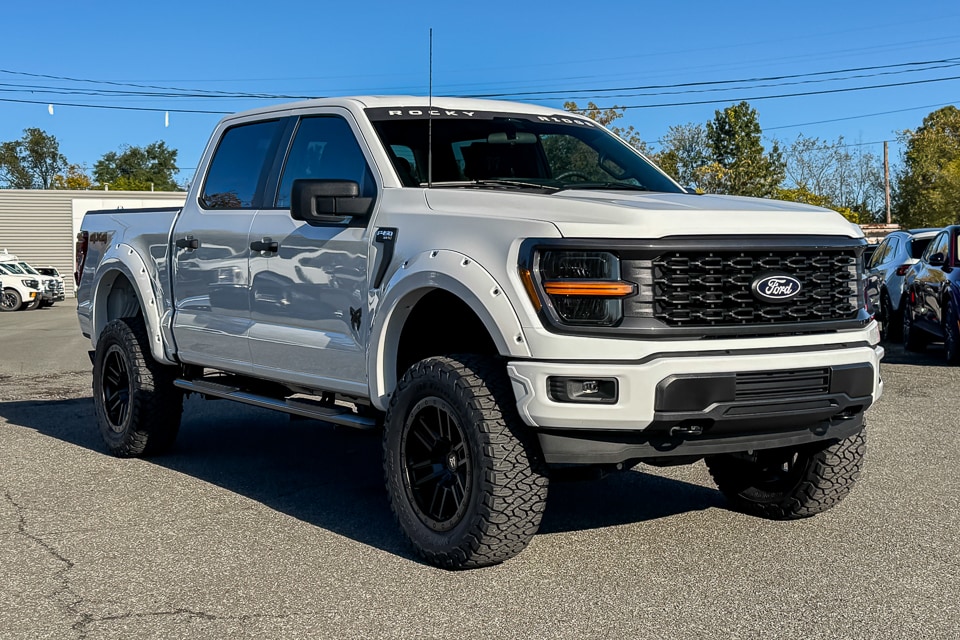2025 Ford F-150 STX's photo