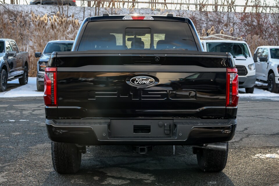 2025 Ford F-150 XLT photo 4