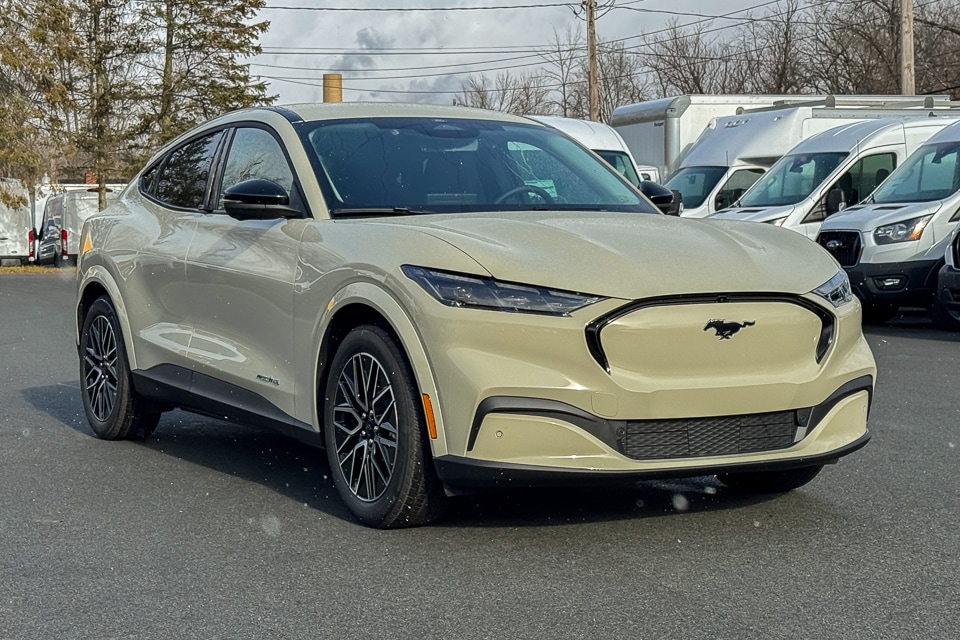 2025 Ford Mustang Mach-E Premium AWD's photo