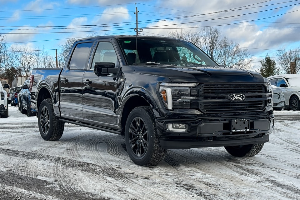 2025 Ford F-150 Platinum's photo