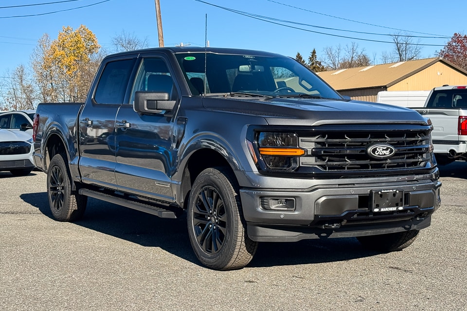 2025 Ford F-150 XLT's photo