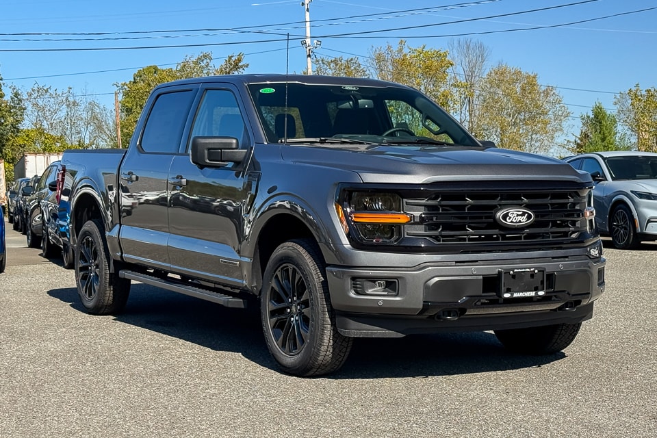 2025 Ford F-150 XLT's photo