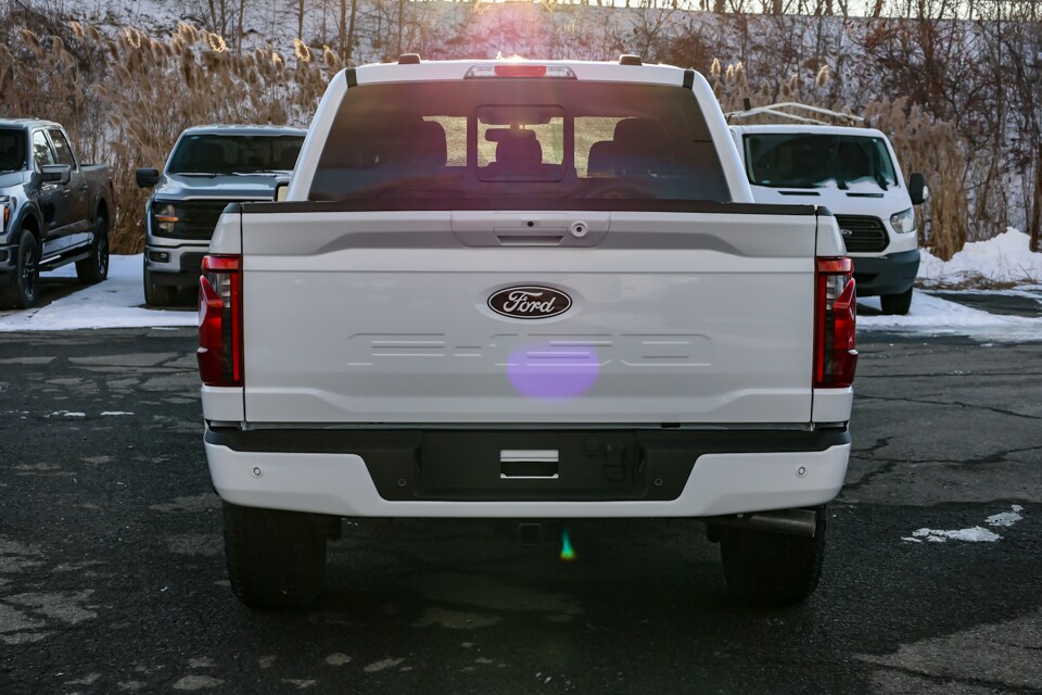 2025 Ford F-150 XLT photo 4