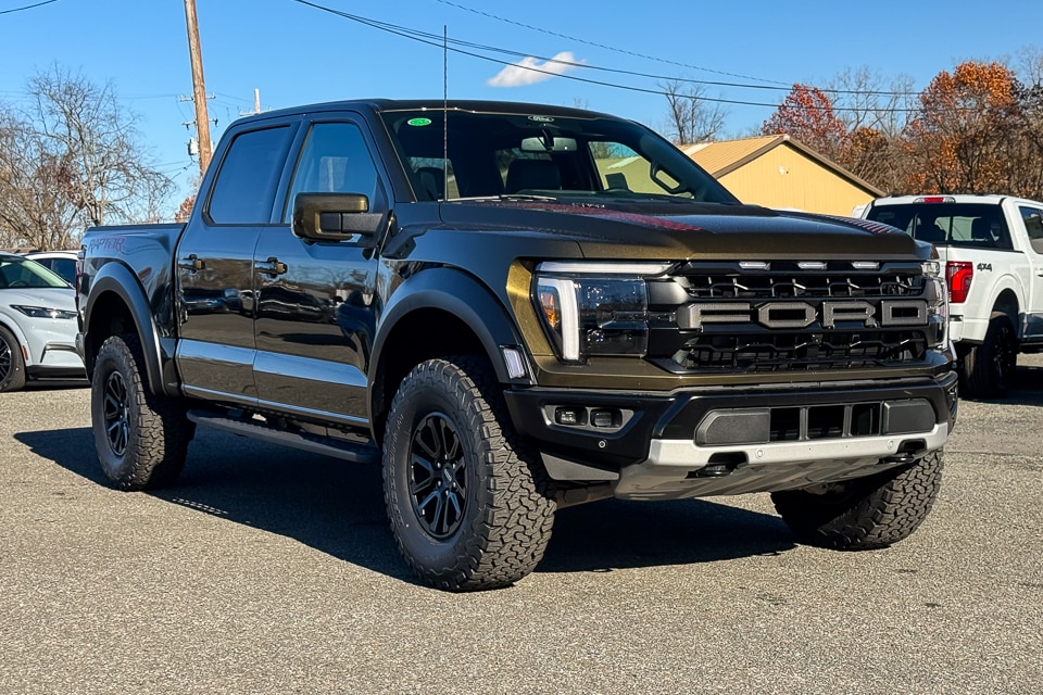 2025 Ford F-150 Raptor's photo