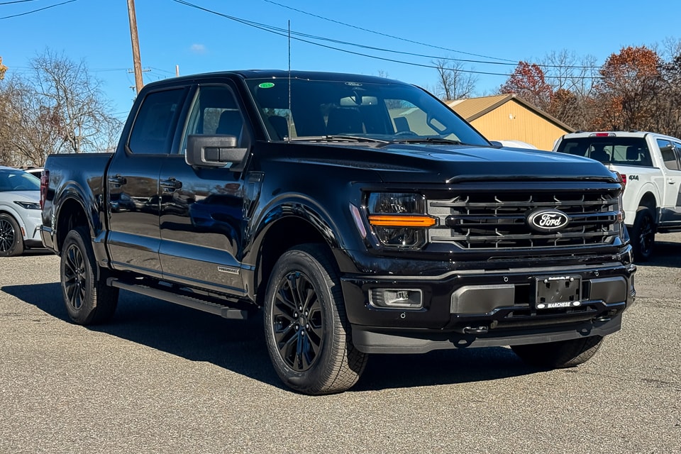 2025 Ford F-150 XLT's photo