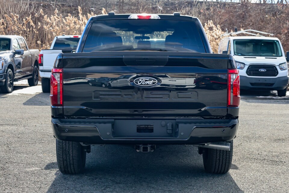 2025 Ford F-150 STX photo 4