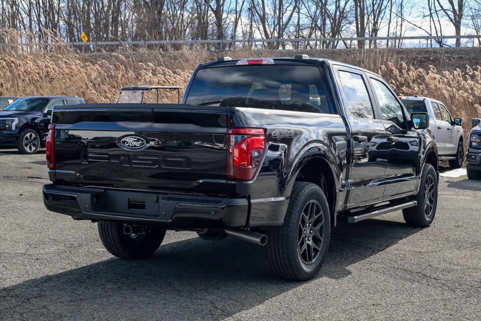 2025 Ford F-150 STX photo 3
