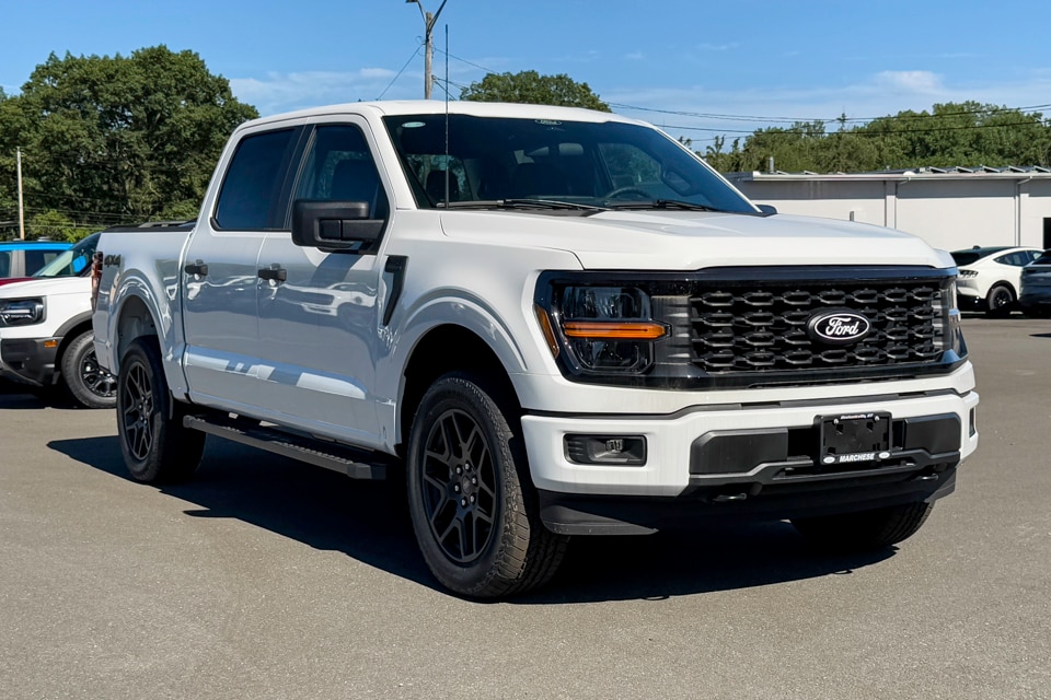 2025 Ford F-150 STX's photo