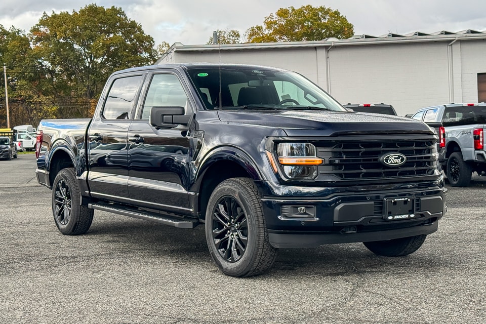 2025 Ford F-150 XLT's photo