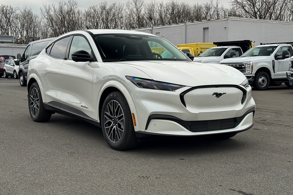 2025 Ford Mustang Mach-E Premium AWD's photo