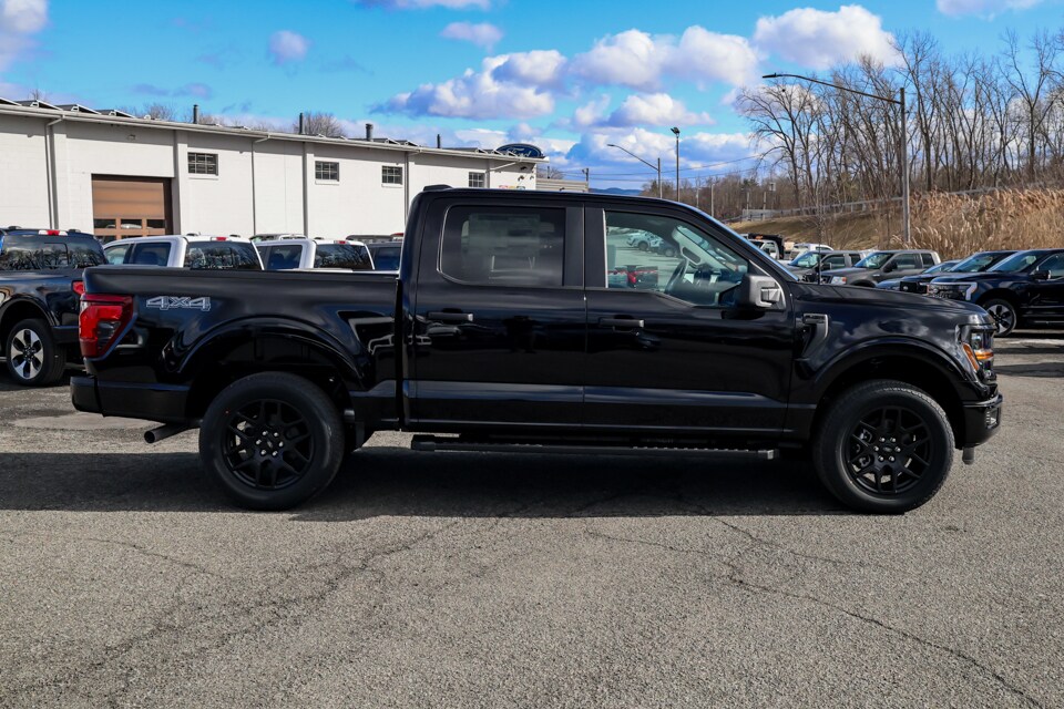 2025 Ford F-150 STX photo 2