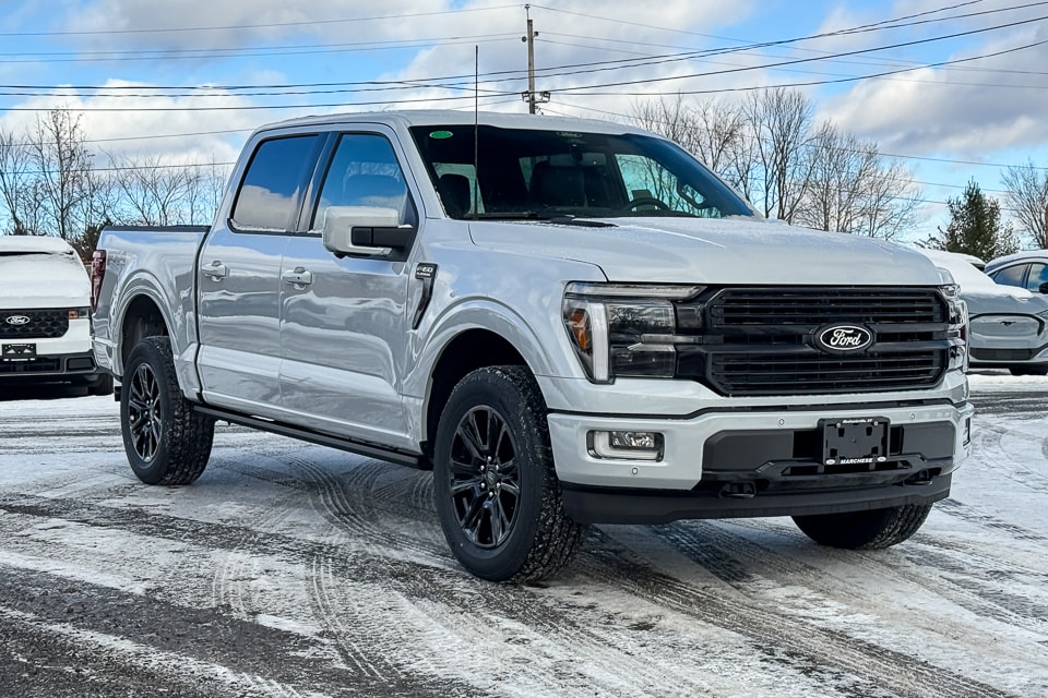 2025 Ford F-150 Platinum's photo