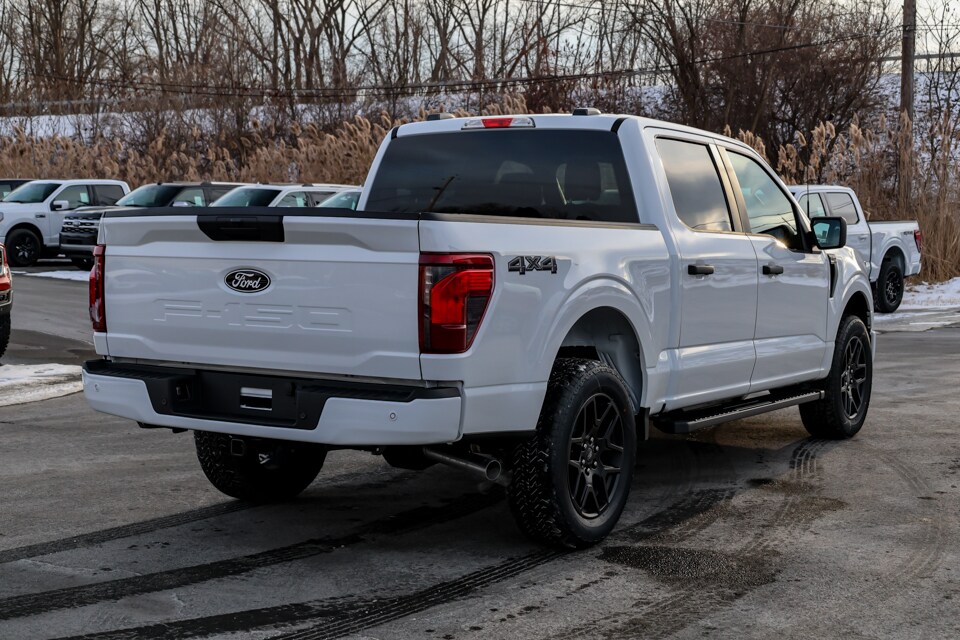2025 Ford F-150 STX photo 3
