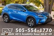 LEXUS NX 300