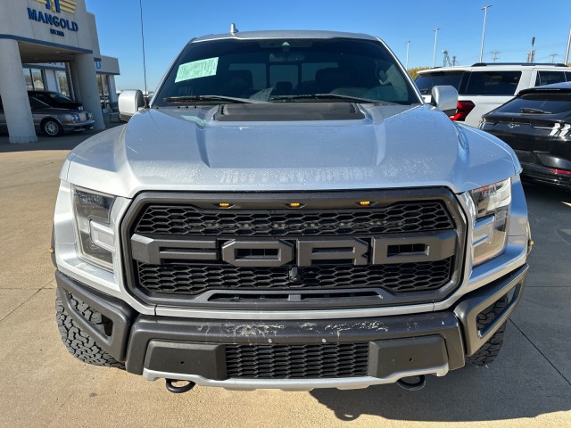 Used 2019 Ford F-150 Raptor with VIN 1FTFW1RG1KFB37432 for sale in Eureka, IL