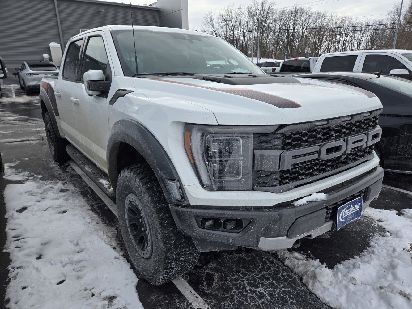 2022 Ford F-150 Raptor's photo