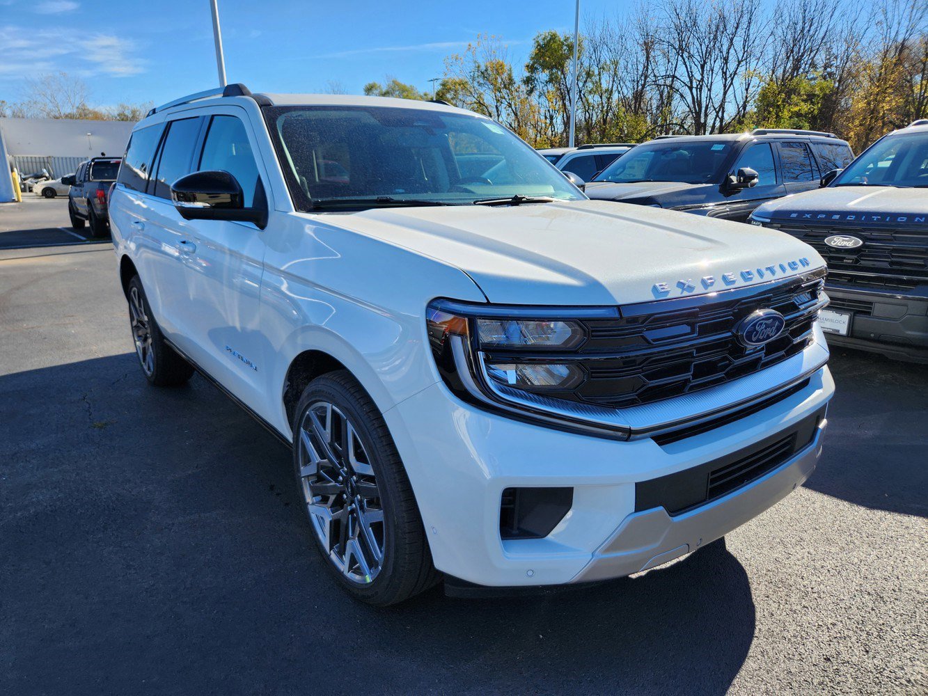 2025 Ford Expedition Platinum's photo