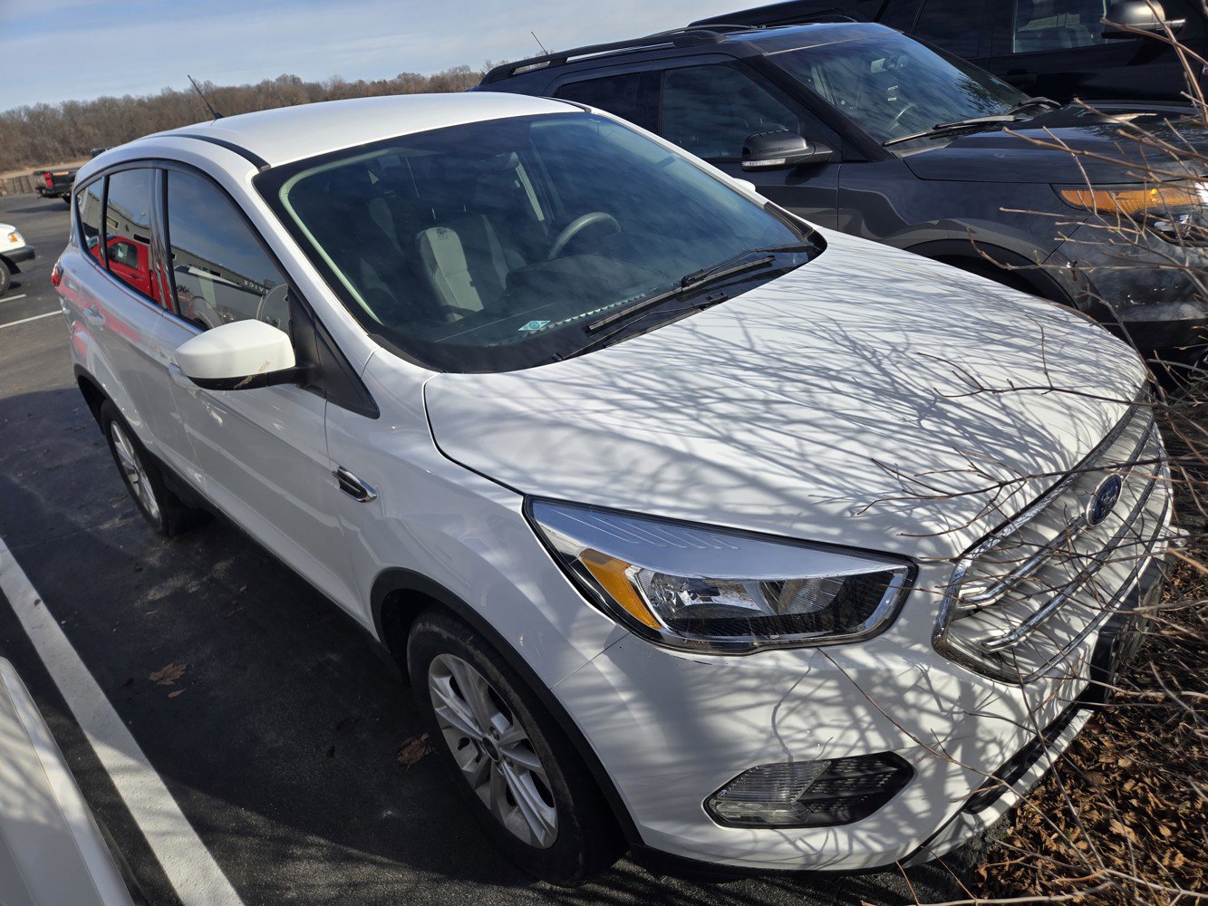 2019 Ford Escape Base's photo