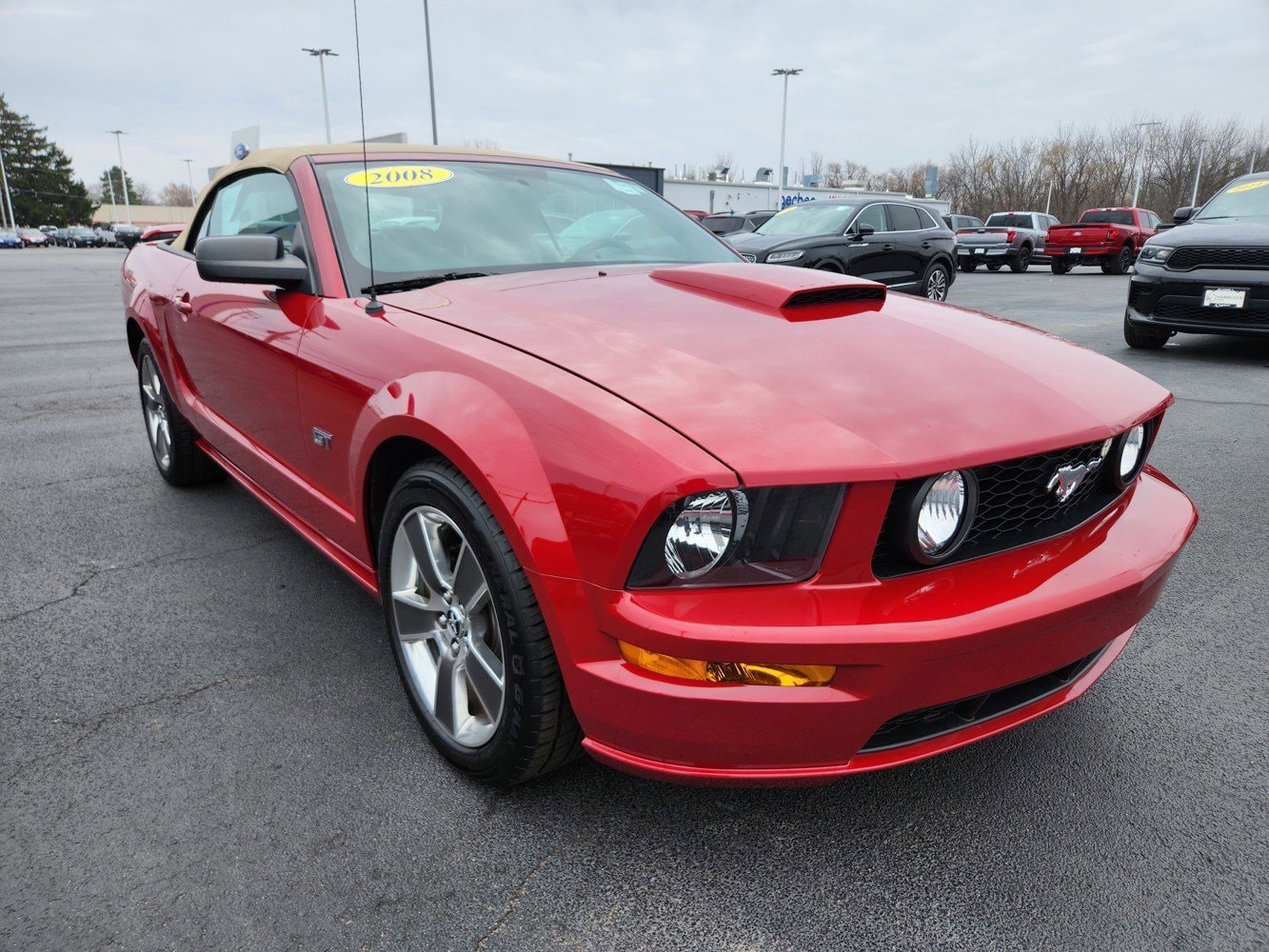 2008 Ford Mustang GT Deluxe's photo