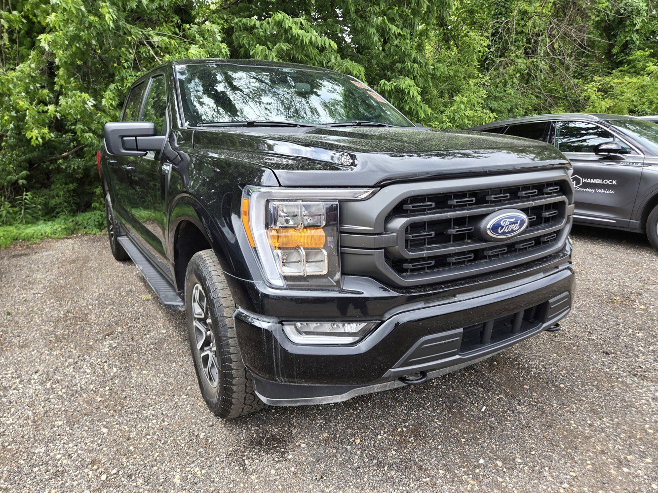 2023 Ford F-150 XLT 4x4 SuperCrew 5-1/2 Box's photo