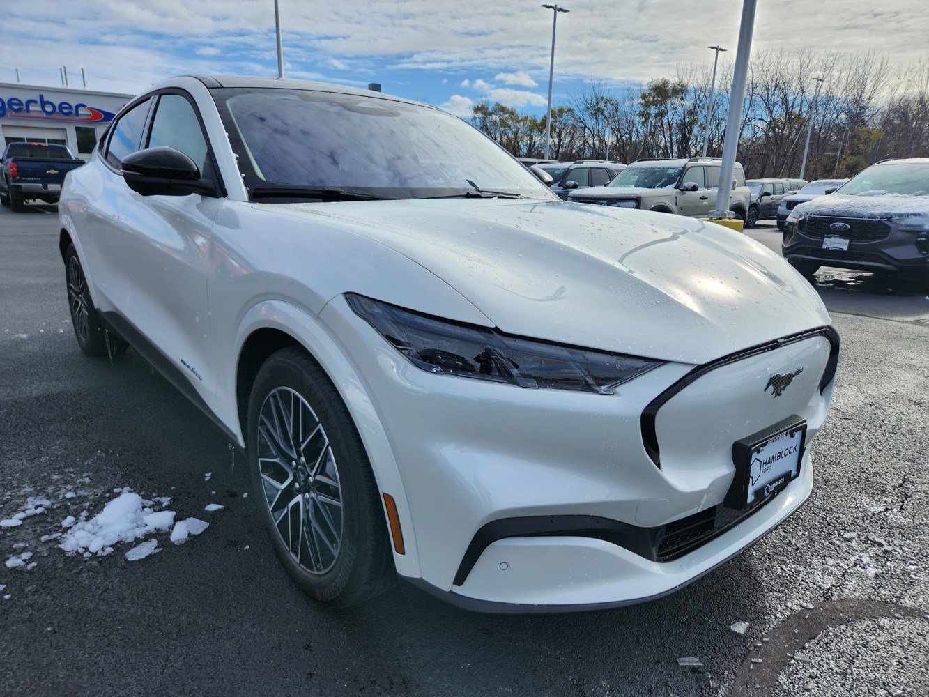 2025 Ford Mustang Mach-E Premium AWD's photo