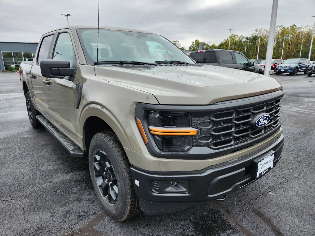 2025 Ford F-150 STX's photo