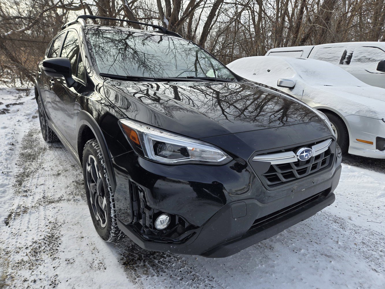 2023 Subaru Crosstrek Limited's photo