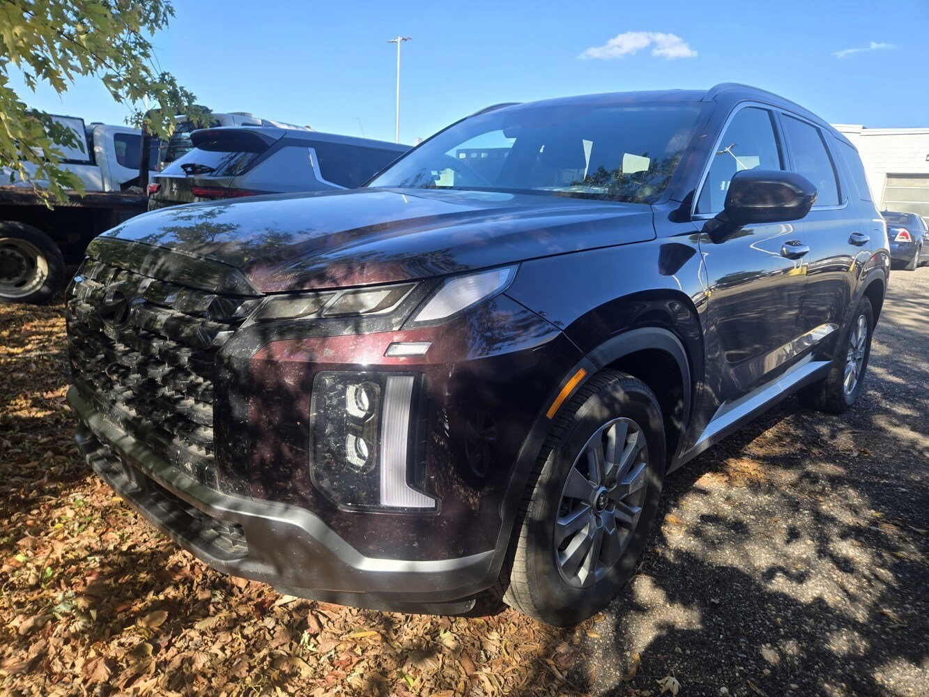 2025 Hyundai Palisade SEL photo 2