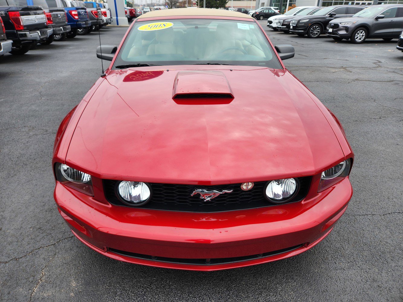 2008 Ford Mustang GT Deluxe photo 3