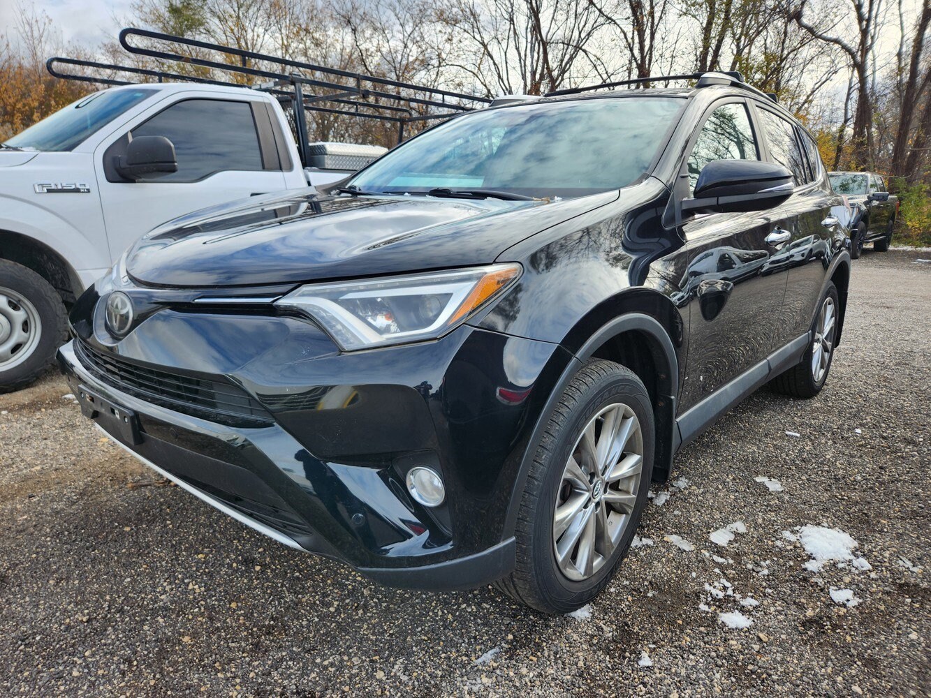 2016 Toyota RAV4 Limited photo 2