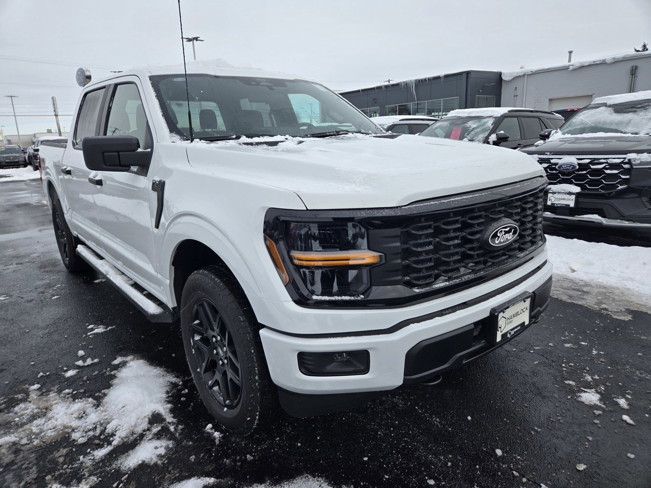 2025 Ford F-150 STX's photo