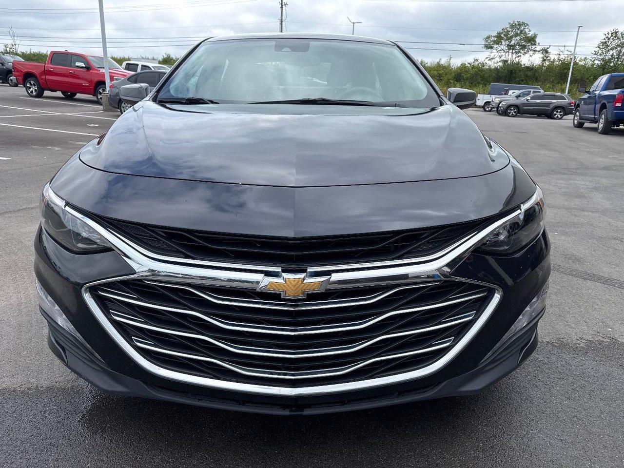 2023 Chevrolet Malibu 1LT photo 2